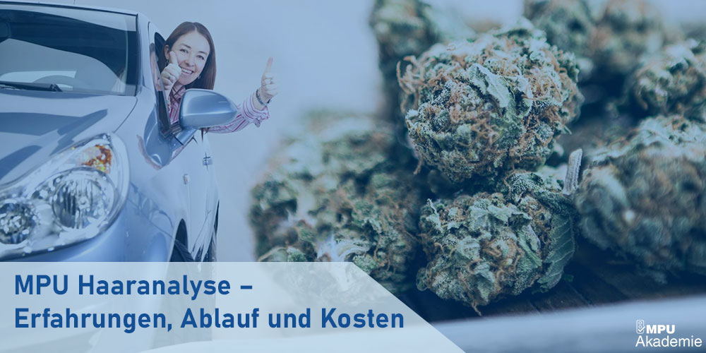 Cannabis Legalisierung Deutschland 2023: Was Autofahrer wissen müssen